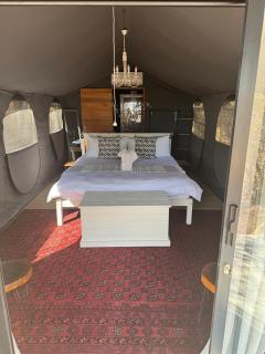 Khaya Ndlovu Safari Manor - 8