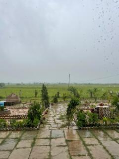 Virasat homestay - 9