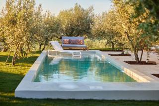 Quinta do Cedro Azul, Douro Valley - 7