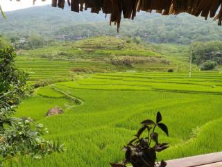 Hoanh Thắng Homestay - 3