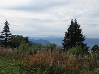 Studio 3 places au pied des pistes, balcon, Chamrousse - FR-1-340-68 - Chamrousse - 3