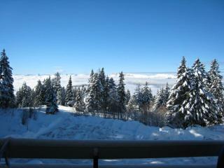Studio cabine 4 pers. près des pistes, balcon S-O, ascenseur, tous équipements, non-fumeur. - FR-1-340-253 - 3