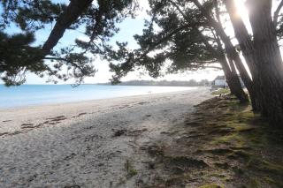 Fouesnant, Cap Coz, superbe maison familiale, plage et sentiers à pied - 5