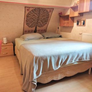 Petit nied Cosy au Calme - 2