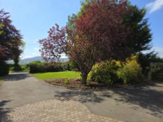 The Lazy Acre - Secluded Cottage with Garden & Sunset Views - 3