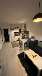 Cozy apartment, 1BDR apt - 0