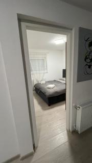 Cozy apartment, 1BDR apt - 3
