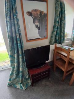 The Cowshed, near Conwy - 5