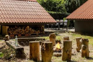 Stay in 2 cottages by the lake, Legoland, ForestCabinDK - 4