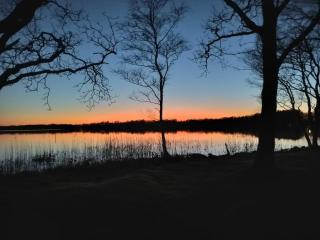 Stay in 2 cottages by the lake, Legoland, ForestCabinDK - 2