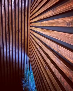 Container Dwelling - 2