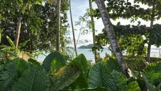 BAIA - Beachfront Boutique Lodge in San Vicente, Palawan - 4