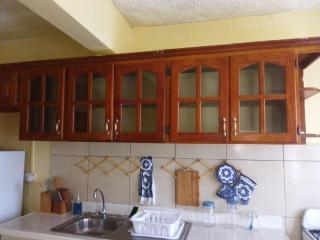 Sunflower Inn - Kingstown - 5