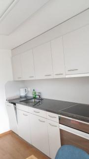 Lakeview Lodge Ferienwohnung Aeschlen Sigriswil mit Seesicht Thunersee - 2