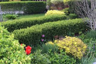 Grand & Luxurious Historic Home in Central Toronto - 5