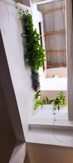 Flamingo Guest House - 6