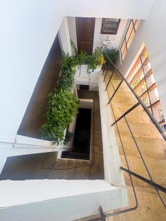 Flamingo Guest House - 5