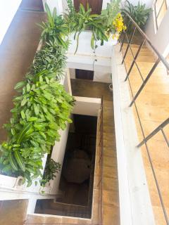Flamingo Guest House - 1