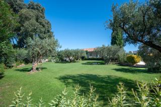 Villa l'ESTEL en campagne avec piscine privée proche Arles et Avignon - 4