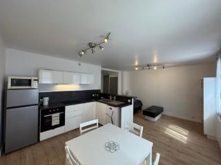 Charming 2 bedroom 60 m2 3-room apartment in Grenoble center - 0