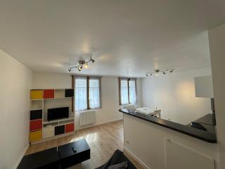 Charming 2 bedroom 60 m2 3-room apartment in Grenoble center - 4