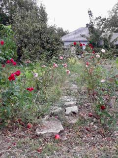 Rustic Village House in Ocnita District - 7
