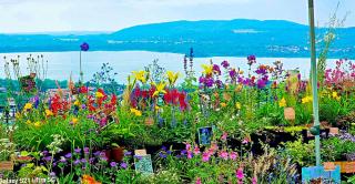 TraMonti e Laghi - Charming Rooms - 9