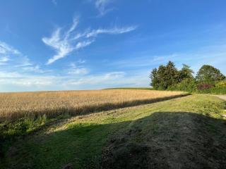 Große gemütliche Ferienwohnung Landshut, 24-7, WLAN, Parkplatz, Top ausgestattet - 2