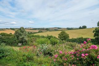 Wayeview Cottage on working Devon farm - 2