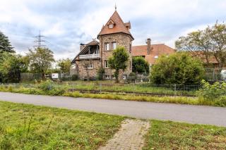 Ruhr-Wald-Blick - 8