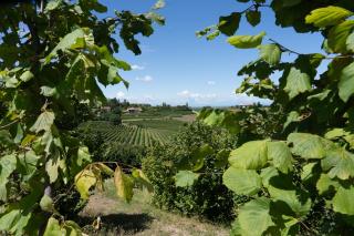Casa di Mia Zia Bed & Wine - Villa Uve - 5