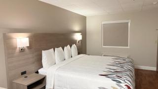 Red Roof Inn & Suites Swansea - 2