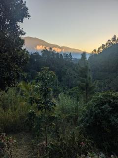 Sacred Acres - 1