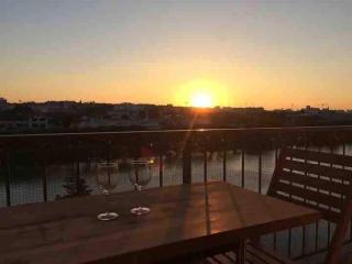 Direct Seine River view, 30min du centre de Paris - 3