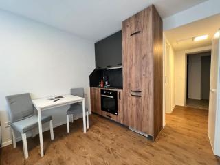 Kuscheliges Nest für zwei: Günstiges Studio in den Schweizer Alpen - 3