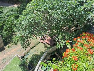 Hotel White Heaven - 8