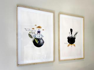 Melville Garden Cottage with Workspace & Solar - 6