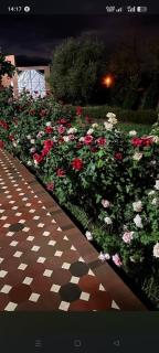 chez l'habitant amazigh - 7