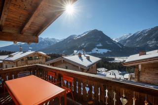 Nationalpark Chalet Grosser Geiger - Neukirchen am Grossvenediger - 3
