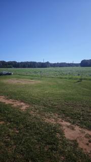 Merekalda Glämp -  - 1