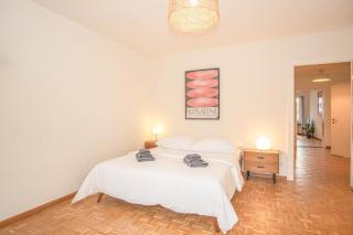 Top floor apartment with two terraces and BaselCard - Bazel - 2
