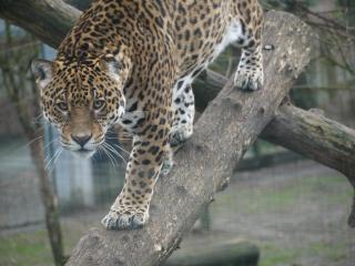 Night experience - 1