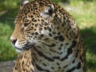 Night experience - 2