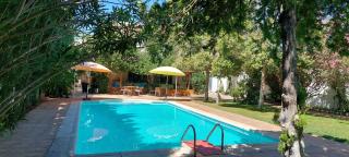 Hospedium Casa Rural El Portón de Calatrava - 3