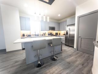 Luxury Home-near NRG MedCenter Downtown & Uptown - 3