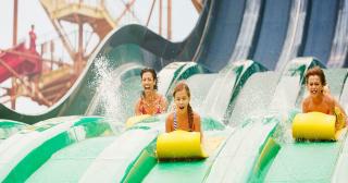 Avondale, close to the beach, ideal for families - 8