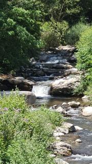 Camping du Riuferrer - Arles-sur-Tech - 1