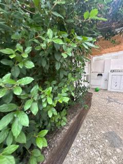 Vila Nogueira De Azeitao - Amaral's Guest Houses - 6