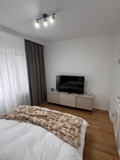 Olt view apartament - 8