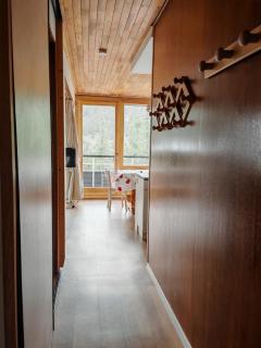 Apt 45 m2 sur les pistes - 2